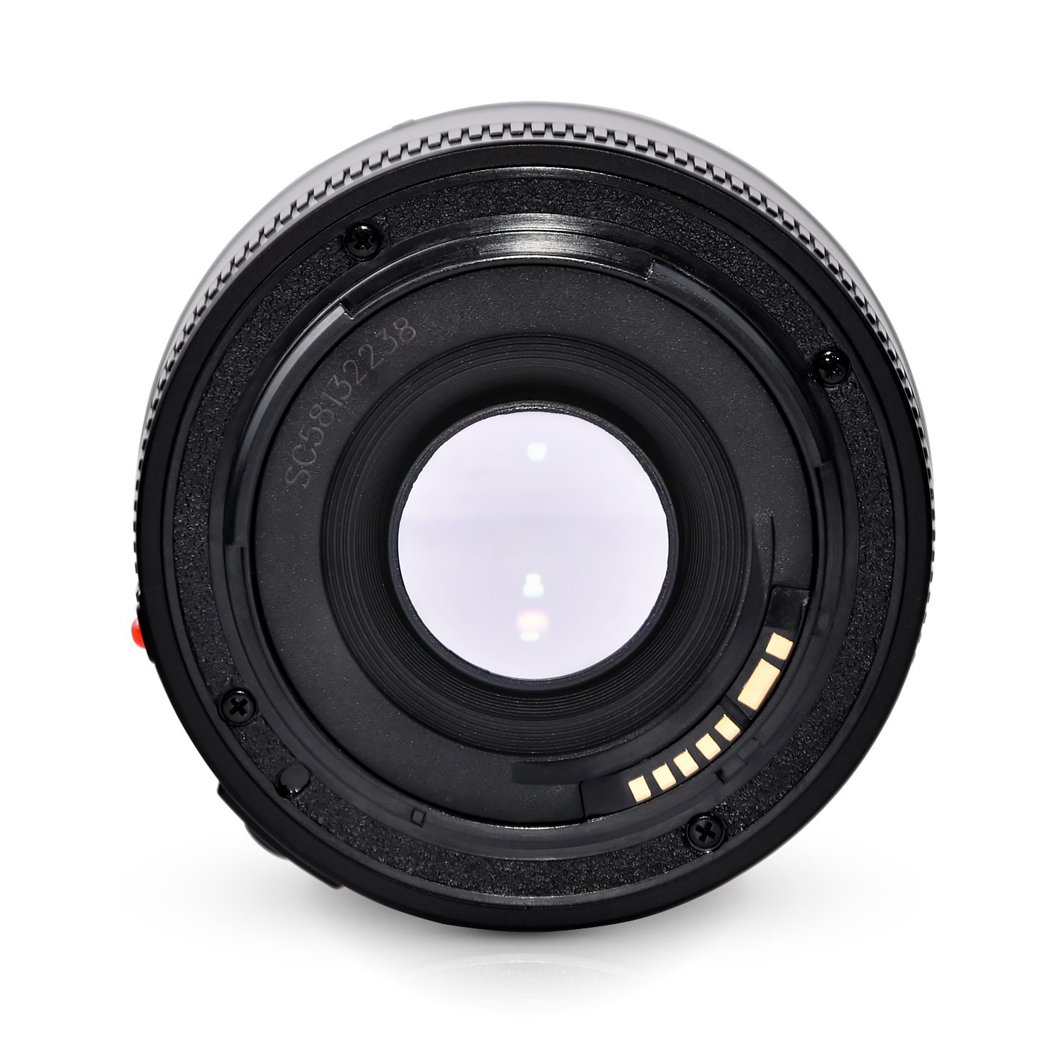 Canon - 【＊yossy＊】キャノン 単焦点レンズ 50mm Amazon | Yongnuo ヨンヌオ YN EF 50mm f/1.8 AF 単焦点 レンズ